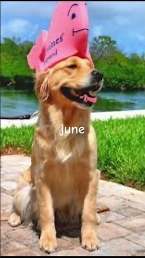 #music #jesuslovesyou #christmas #haveitoldyoulatelythatiloveyou #memes #fypシ