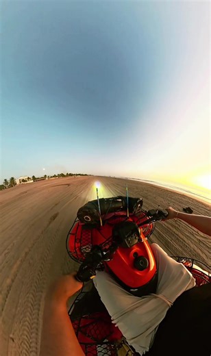 Explore the Beach: A Day in Paradise