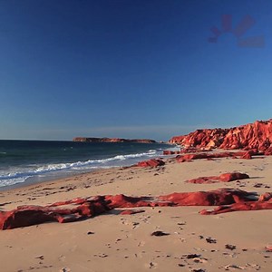 Diese Rundreise eignet sich ideal dafür, um sich einen guten Eindruck vom roten Kontinent zu verschaffen 🌏 Australien 🇦🇺 | 18 Nächte | inkl. Ausflüge und Eintritte | Highlights der Rundreise: u.a. Sonnenuntergang 🌅 am Ayers Rock | ab € 5.899,- ➤http://bit.ly/2Er4ew0 | sonnenklar.TV