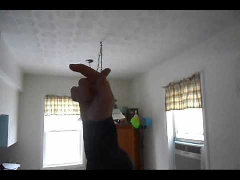 The Best Pals Hand Toons Outtakes (Full Video)