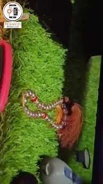 Redmi 9A Hanging problem solution | How to fix How to Fix Stuck On Boot Problem in Xiaomi redmi