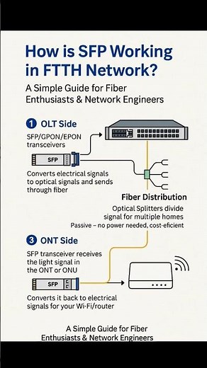 How SFP Works in FTTH Networks | OLT, Fiber Splitters & ONT Explained