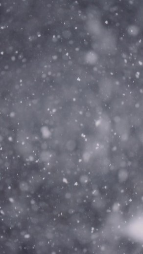 Celebrating family traditions since 1919 ❤️ | Community Coffee