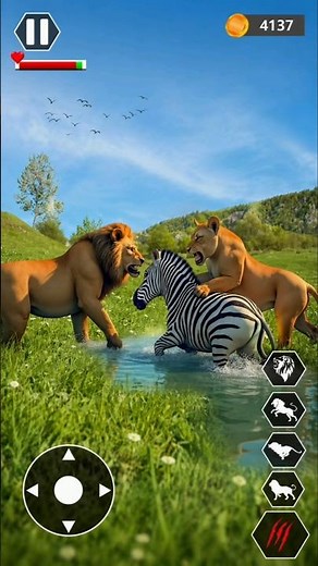 🎮 Title: Hunting Mode 🦁 | Wild Lion Family 3D Simulator | Zebra Hunt Adventure Gameplay