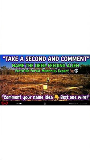 help name the deer feeding alien cont #whitetail #deer