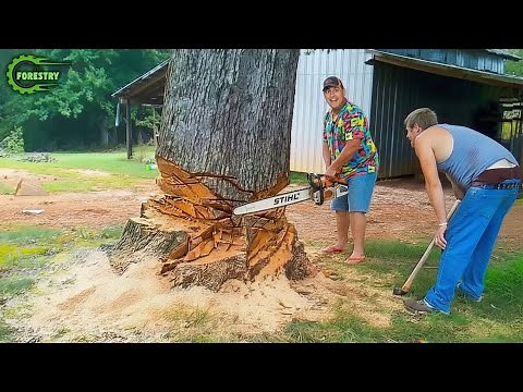 Idiots With Chainsaws: Tree Cutting Fails | Extreme Dangerous Logging Truck Fails #17