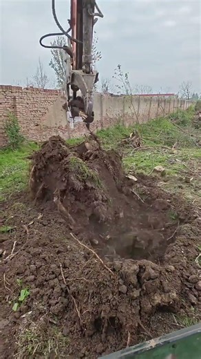 #Xiaoxu Digging Tree Roots #Real Life Sharing Plan #Digging Tree Roots to Relieve Stress ##29e13