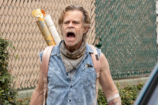 7 Shows Like 'Shameless' If You Loved the Showtime Series