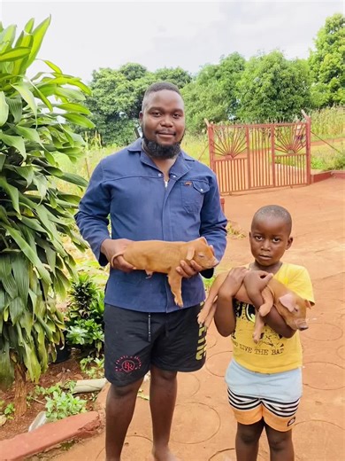 Exploring Mixed Farming Techniques for Young Farmers