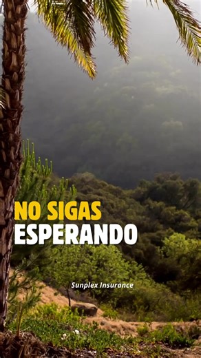 #agenciadeseguros #miami #asegurate