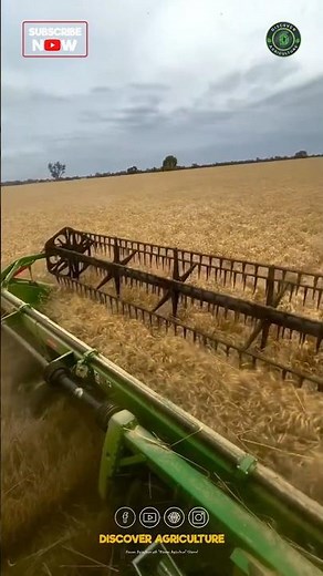 Amazing Giant Combine Harvester Machine