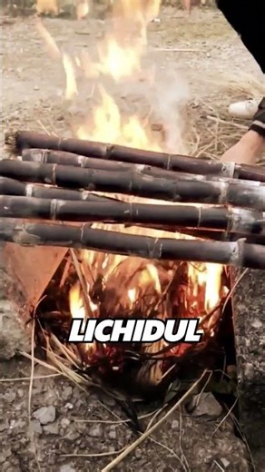 😱 Why Does Sugar Cane Explode?