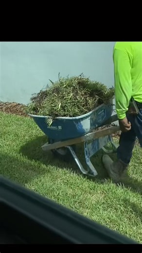 I can’t believe the progress in just one day!! 😱 | Melissa ASMR