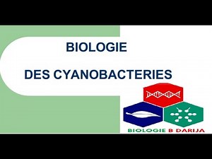 cours biologie végétale partie 1 les cyanobacteries | البيولوجيا بالدارجة