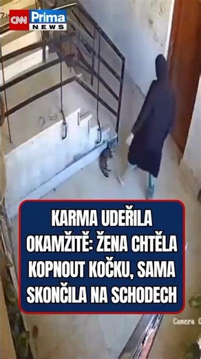 Žena v Turecku se pokusila kopnout klidně ležící kočku. O vteřinu později ale spadla ze schodů.