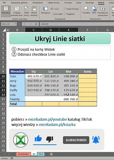 Ukrywanie linii siatki | Excel w minutę 34