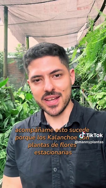 Truco sorprendente para cuidar Kalanchoe