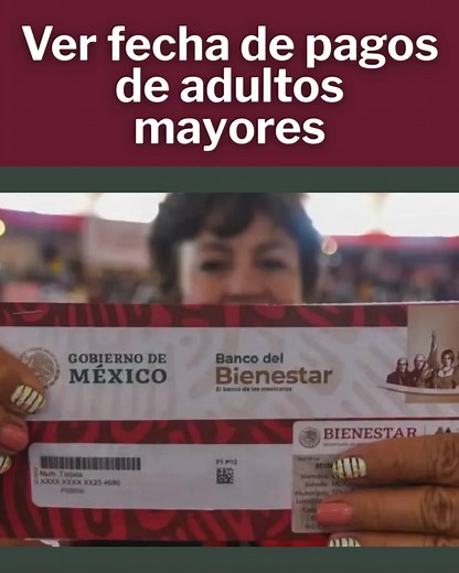 203 reactions · 7 comments | Blog Curioiogo on Reels | Facebook