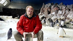 3.8K views · 168 reactions | SeaWorld San Diego welcomed the hatching of an emperor penguin for the first time in 13 years, announcing that the female chick came out of its shell with help from zoo staff on September 12 https://reut.rs/3Mh48JS | Reuters | Facebook