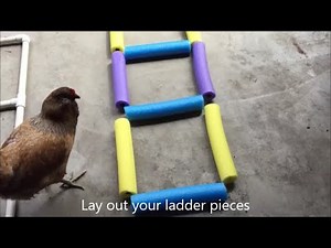 DIY Noodle Ladder for Dog Fitness