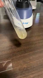 A Close-Up Look at Microscopic Wonders