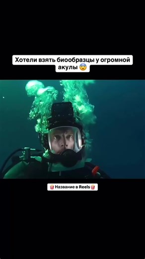 #фильмы🍿🎬🎥 🎬Фильм: «Акулы в Париже» (2024)🍿