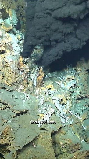 New Discovery of Hydrothermal Vents