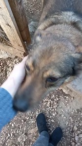 1.2K views · 167 reactions | Nn passano miracoli da queste parti ,...