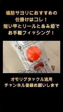 オアススメのサヨリの仕掛け⭐︎堤防⭐︎サヨリ釣り⭐︎サヨリスト⭐︎ #釣り#釣りガール #釣り女子 #漁港 #秋 秋サヨリ