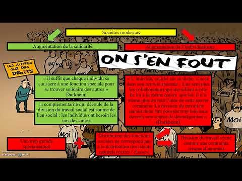Social connection - individualism - integration (SOCIOLOGY)