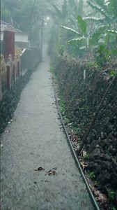 Relax and Sleep with Rain Sounds #asmrrain #rainwalk ##rainoundforsleep