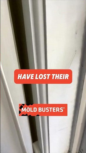 Window Mold - Free Virtual Inspection