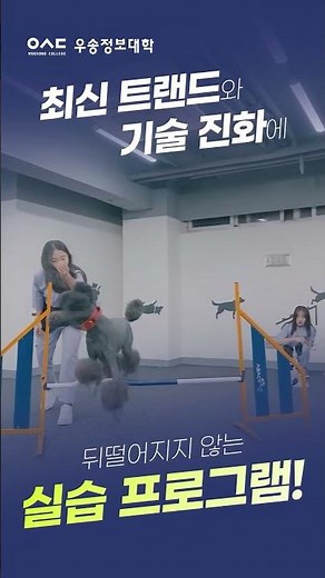 우송정보대학 2026학년도 수시1차 모집