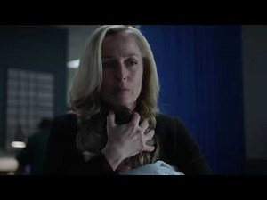 the fall soundtrack - goodbye Spector