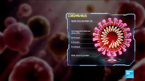 What's the difference between coronavirus and COVID-19 ? How does one get infected? What are the symptoms? How do one prevent it? Everything you need to know about the coronavirus outbreak ⤵️ | FRANCE 24 English