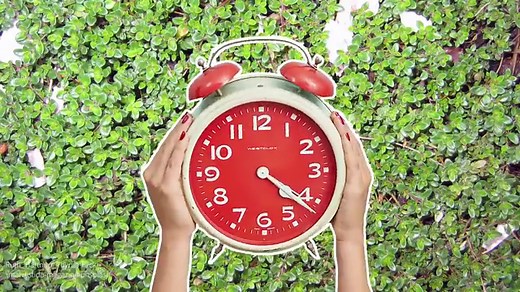 10 Ground Cover Plants to Replace Your Grass Lawn • Insteading