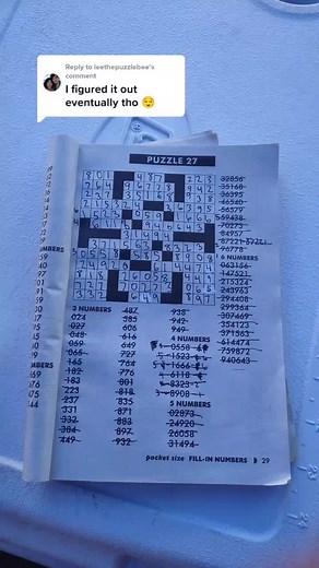 Solving Puzzles: Tips for Beginners and Experts