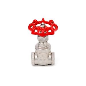 [Hot Item] 304/316 Stainless Steel Female Threaded Industrial Gate Valve