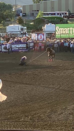 74K views · 3.1K reactions | Shad Mayfield of New Mexico is the 2019 NHSRA World Champion Tie Down Roper! This short round run of 7.97 sealed the deal! | Rodeo Life | Facebook