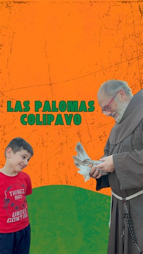Jeremy Animal on Instagram: "Seguramente recuerden a mi amigo Antonio, el que cria palomas en el techo de un convento. En la ultima visita que le hice me brindo detalles de la colipava india, una de las mas antiguas y hermosas palomas de fantasia. #palomasderaza #palomasdefantasia #criaresponsable #avesdegranja #conservacionderazas #jeremy.animal"