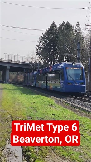 TriMet MAX Red Line Type 6 train