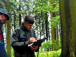 森が増える欧州　何が起きているのか：朝日新聞GLOBE＋