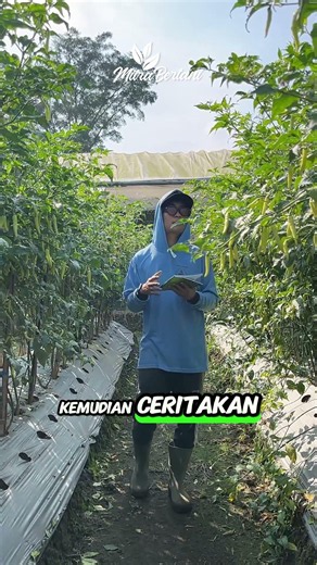 500K UNTUK 3 PEMENANG‼️SPESIAL PENGGUNA BUKU MITRA BERTANI #petanimuda #pertanian #petani #fypシ