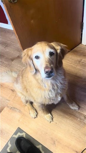Cooper misbehaves, earns treat.