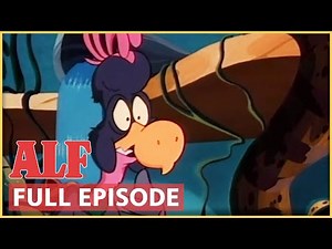 When Your Pet Becomes a Celebrity | ALF: The Animated Series | FULL Episode: S1 Ep5