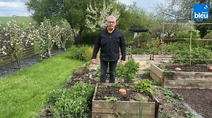 🥒🥒 La courgette est facile à planter, il faut juste respecter quelques règles ! Avec Roland Motte, ce n'est pas un problème. | ici Besançon