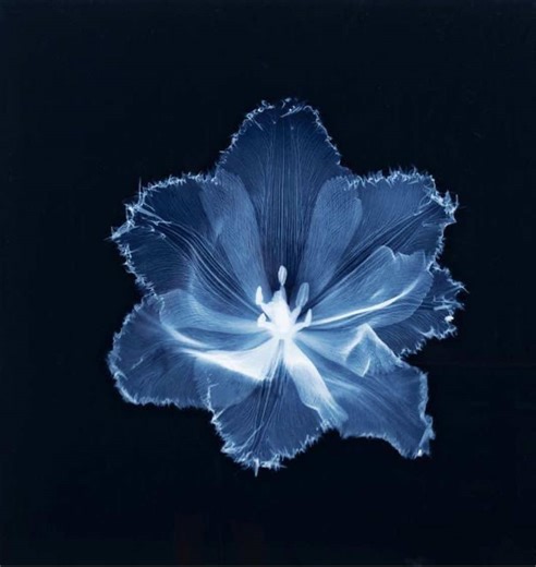 Transform Your Look with Blue Hair Inspiration