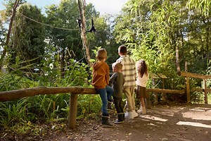 Begleiten Sie uns auf eine Entdeckungsreise im ZooParc!