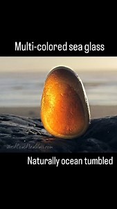 Rare, multi colored sea glass pieces are featured here. Decades ago, art glass and bottleworks refuse pieces were unfortunately discarded into the sea. These highly sought after specimens have been naturally tumbling in the ocean's tides, surf, and sands. More at WestCoastSeaGlass.com | West Coast Sea Glass
