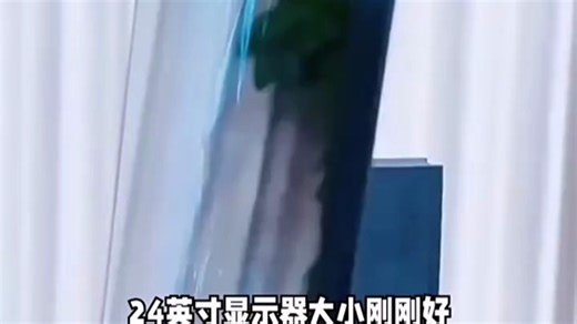 雷神黑武士245英寸320Hz超频FastIPS硬件低蓝光HDR450nit升降旋转非240电脑电竞FHD显示器CF25F300L